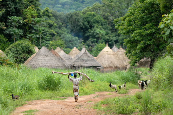 Kossankôrô : certains font 6 km à pied pour se rendre à l’école