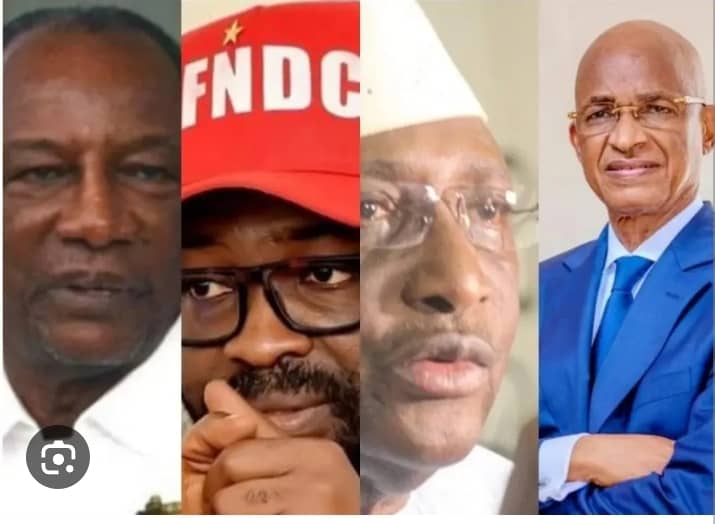 Les Forces Vives de Guinée dénoncent la mise en place des délégations spéciales.