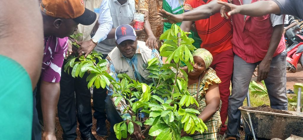 Kankan : à Bordo S.O.S, les jeunes lancent une campagne de reboisement de 1 500 plants contre le réchauffement climatique