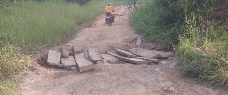 Dabola : à Kindoye, les populations réclament l’ouverture des pistes rurales
